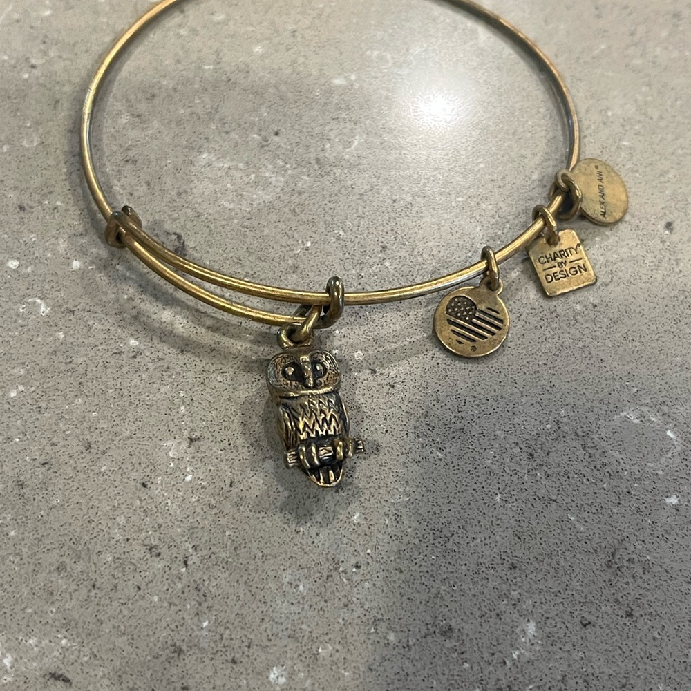 Gold Owl Charm Bangle Bracelet
